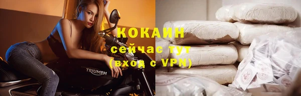 хмурый Пестово