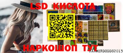 дживик Гай