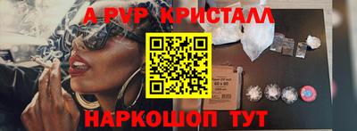 дживик Гай
