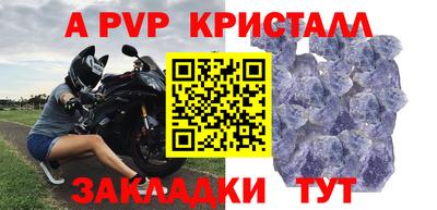 дживик Гай