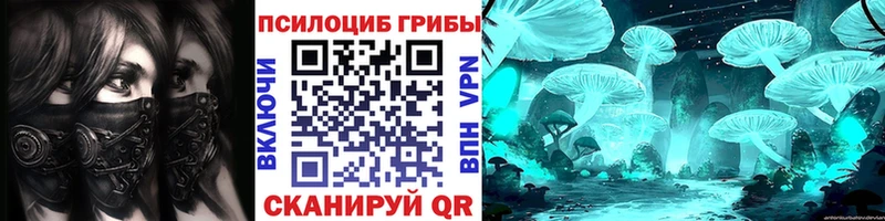 блэк спрут как зайти  Краснокаменск  shop какой сайт  как найти закладки  Галлюциногенные грибы Cubensis 